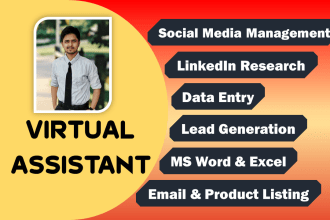 be your virtual assistant for data entry, admin support