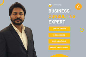 provide business consultancy for erp, ecommerce, amazon web services