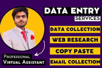 do excel data entry, b2b email list collection, copy paste research