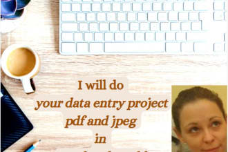 do your data entry project pdf and jpeg to word and excel