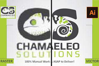 redraw and vectorize the logo manually for print and digital