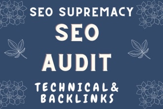 audit website, seo audit report in just 24 hours
