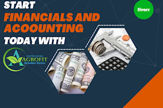 do financial statements, accounting and book keeping
