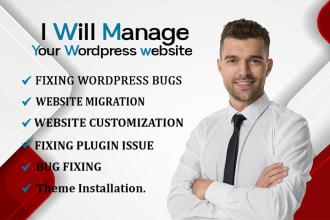 provide professional maintenance and support for your wordpress website