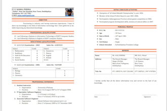 type your text on ms word in english and sinhala in any format you want