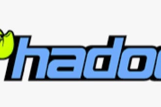 write hadoop pig script for you
