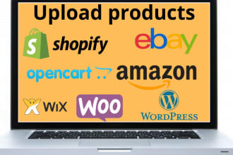 professional wix,shopify,ebay product listing