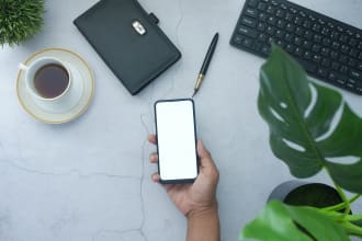 professionally test your software or app