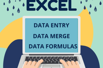 do anything with excel formulas and macros