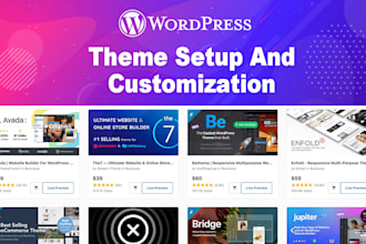 setup customize wordpress theme