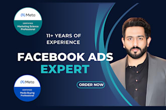 setup, manage facebook and instagram ads for lead generation and sales