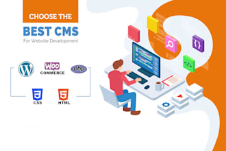 professionally design a website using wordpress cms