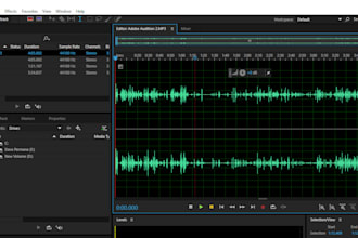 do professional audio editing and noise reduction