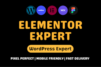 be elementor expert to rebuild excellent elementor websites