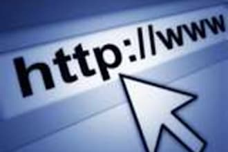 deliver 5,000 unique real human visitors to your site
