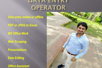 do data entry, web scraping, ms office work, PDF or jpeg to excel