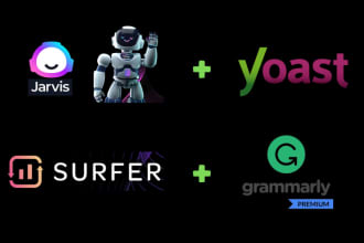 provide you website seo audit report with surfer