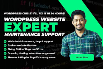 be your wordpress help for website maintenance, speed and bug fix