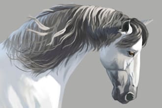 draw a horse or pony