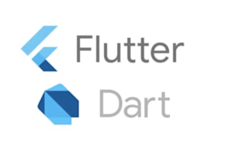 develop professional applications with flutter