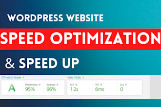 do wordpress website speed optimization for google page speed insights