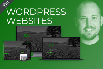 design or redesign an SEO optimised pro wordpress website