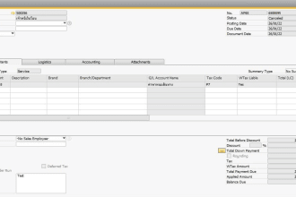 be your functional consultant  in  sap business one