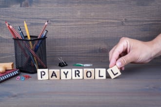 file your company monthly payroll paye submissions with hmrc