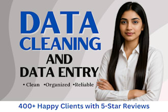 do excel data entry and clean your business spreadsheets