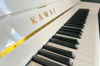 compose a chord progression for your melody