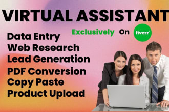 be your reliable personal long term virtual assistant for data entry