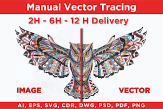redraw, vectorize, convert logo or graphic to vector