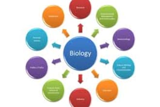 do Biology Research