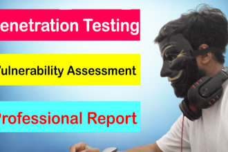 professionally do vulnerability assessment and penetration testing ,pentest