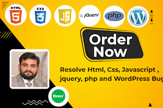resolve html, css, javascript ,jquery, php and wordpress bugs