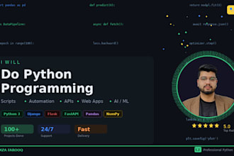 be your python programmer