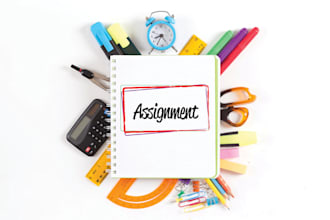 do assignments or any ms office work for you