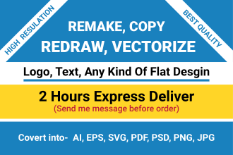 remake, copy, redraw, vectorize logo in illustrator
