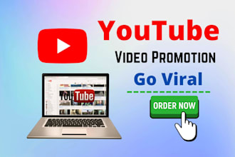 provide viral youtube video promotion service