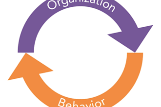 do expert research and write on organization and consumer behavior
