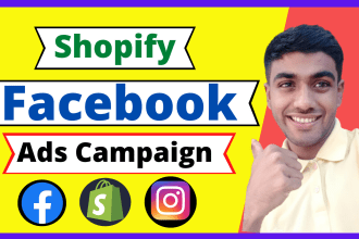 setup 10x facebook ads campaign for shopify dropshipping store, fb advertising