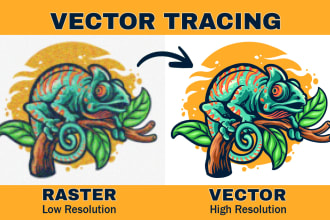 make vector art, vector tracing, and redraw or recreate your logo
