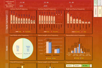 do professional infographic automated excel dashboard