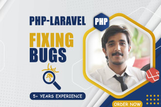 fix PHP, wordpress, laravel, HTML, CSS, js, vue,  bugs