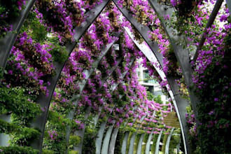 do growing up ornamental lants in Turkey