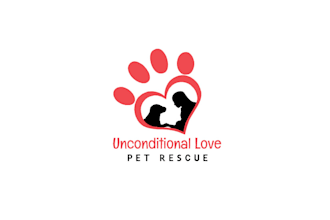 make an attractive animal dog and pet logo design