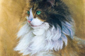 paint watercolor portrait of your dog, cat, pet