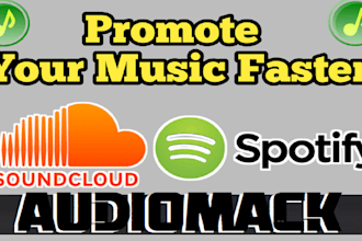 do fast premium organic audiomack music promotion to make it viral worldwide