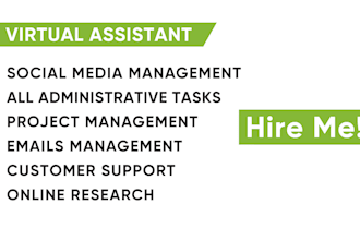 provide personal virtual assistant and customer service