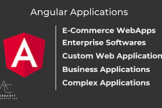 develop your complex angular web app
